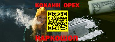 крисы Краснознаменск