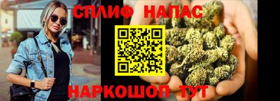 крисы Краснознаменск