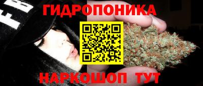 крисы Краснознаменск