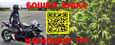 крисы Краснознаменск