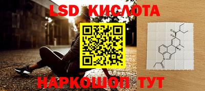 крисы Краснознаменск