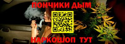 крисы Краснознаменск
