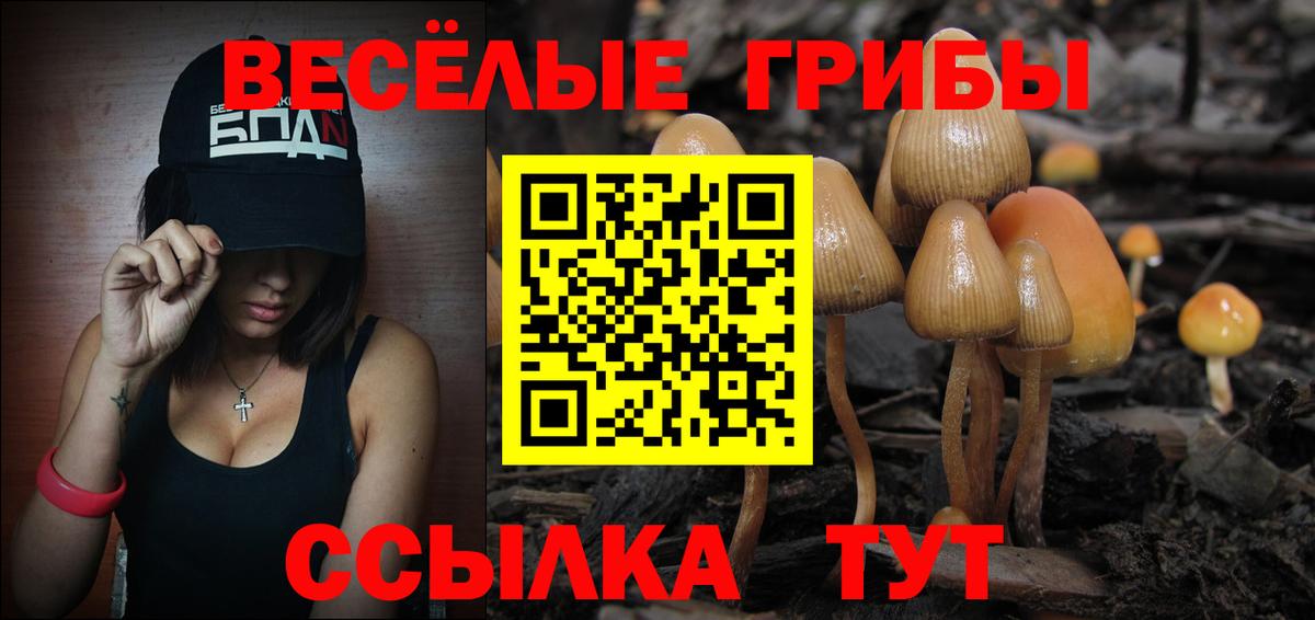 Кропоткин  продажа наркотиков  Вход с VPN  Галлюциногенные грибы Magic Shrooms 